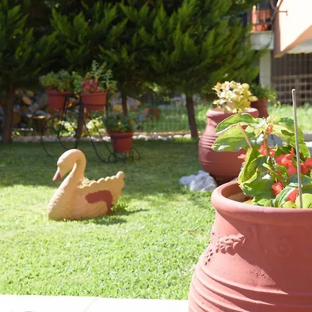 Ourania Apartment Ierissos